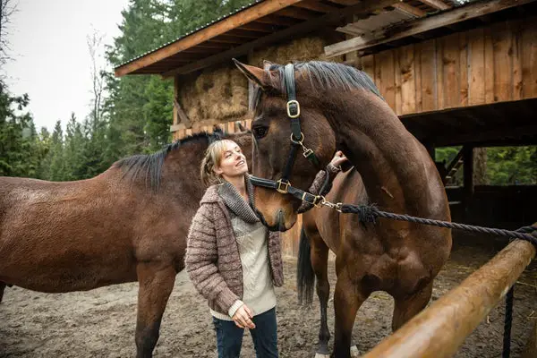 Horses Recognize Pics of Their Keepers