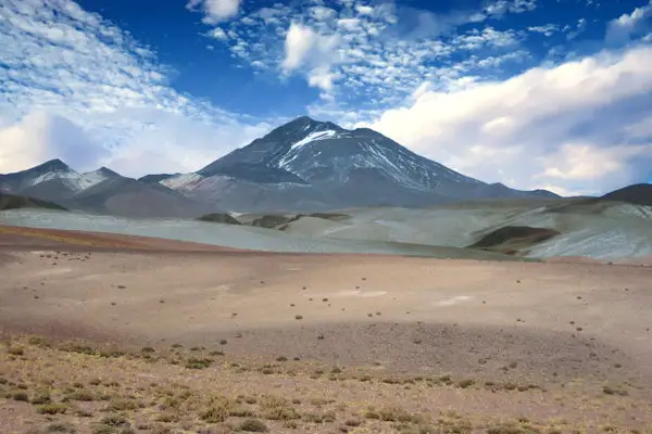 The World’s Highest-Dwelling Mammal Lives atop a Volcano