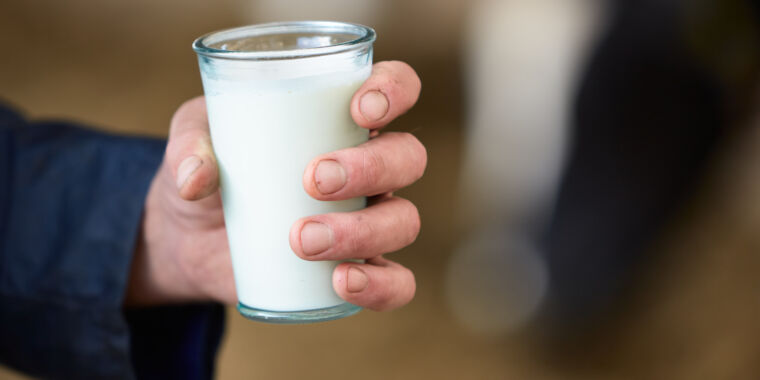 Raw milk fans plan to drink up as experts warn of high levels of H5N1 virus