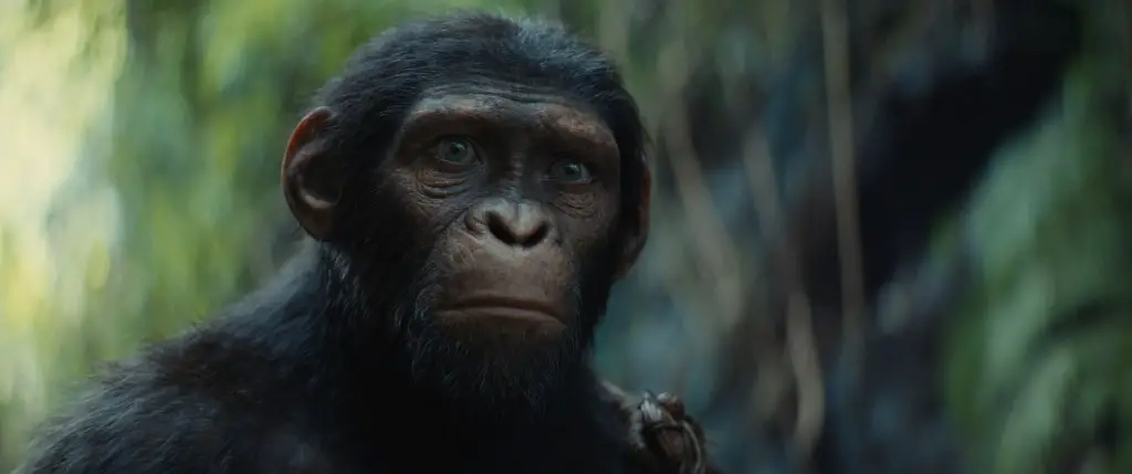 Kingdom Of The Planet Of The Apes Evolving Towards $125M+ Global Bow