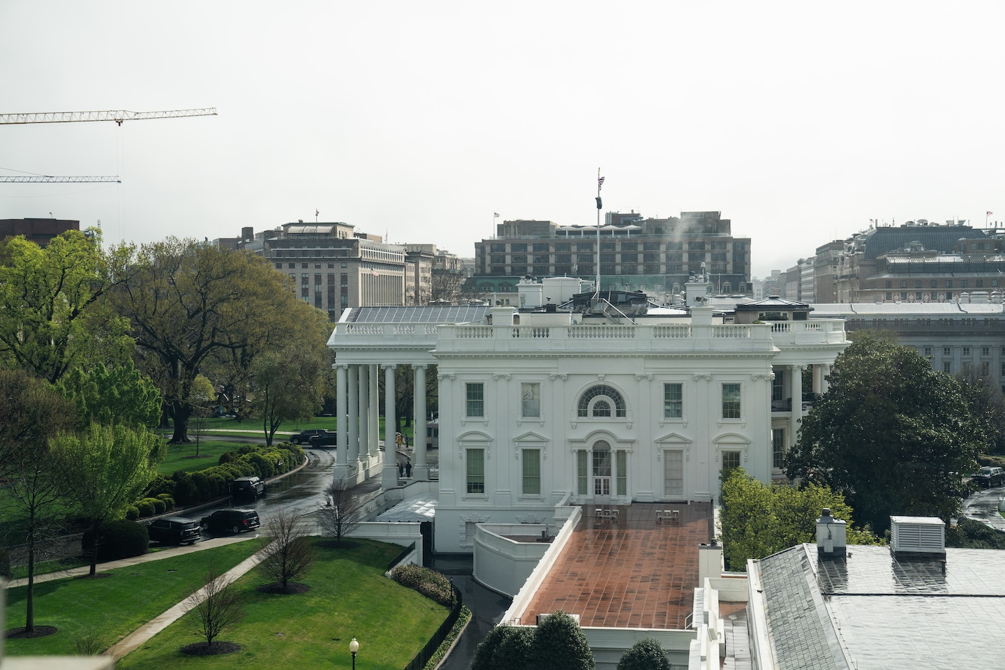 Driver dies after crashing into White House gate