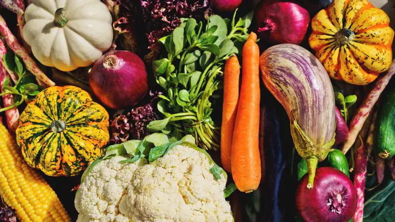 There’s actually no such thing as vegetables. But here’s why you should eat them anyway