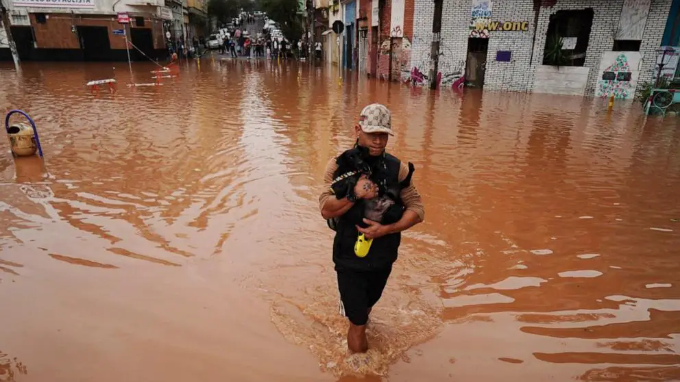 Caramelo, the Brazilian horse stranded on a roof by floods, is rescued after stirring the nation