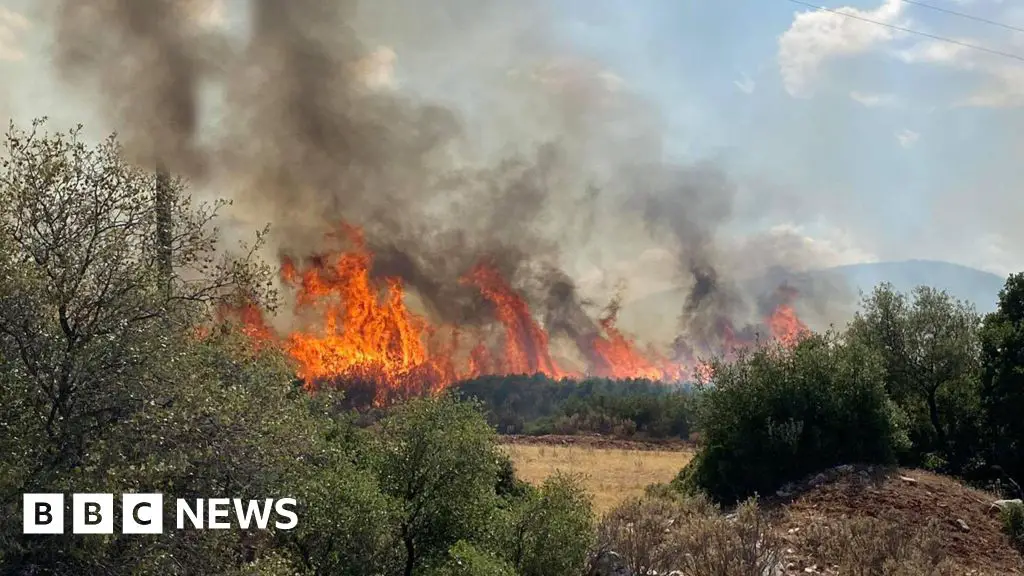 Firefighter dies battling forest blaze