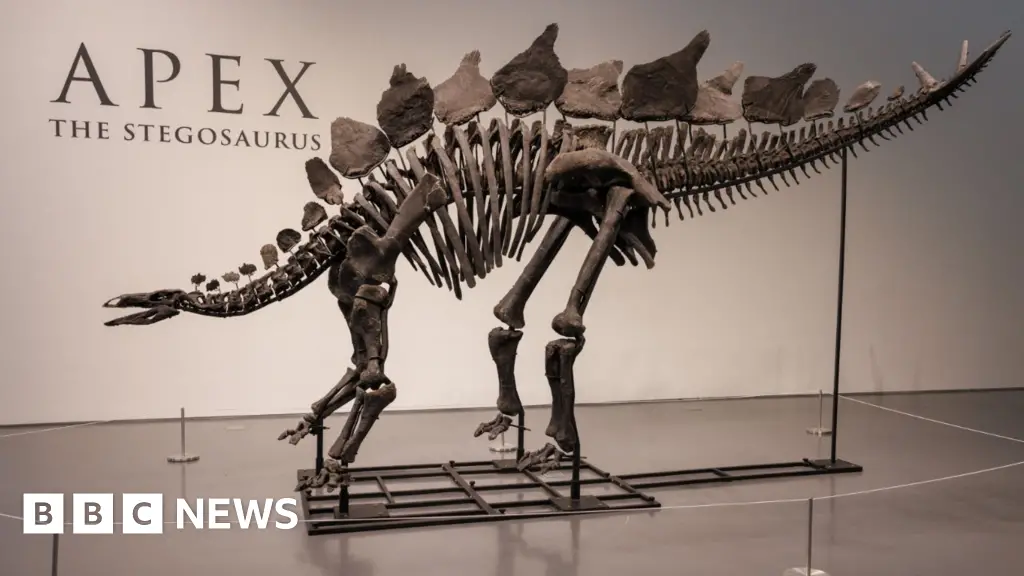 Dinosaur skeleton fetches record $44.6m at New York auction