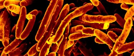 Woman who went on the lam with untreated TB is now cured