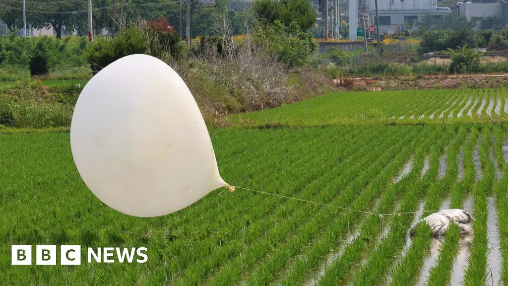 N Korea’s trash balloons land on S Korea presidential compound