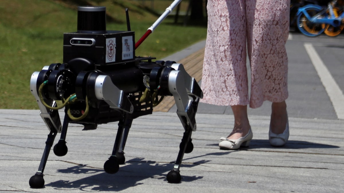 Chinese robot ‘guide dog’ could help the visually impaired — it’s even a talking dog
