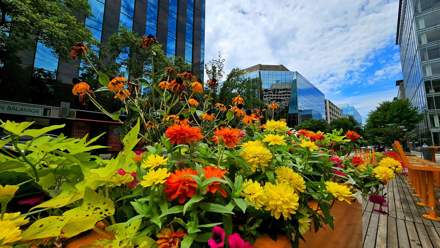 D.C.-area forecast: No letup in the heat today. Cooler by Friday, then heating up again.