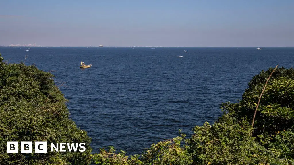 Bather rescued 80km from Japan beach after 36 hours – BBC.com