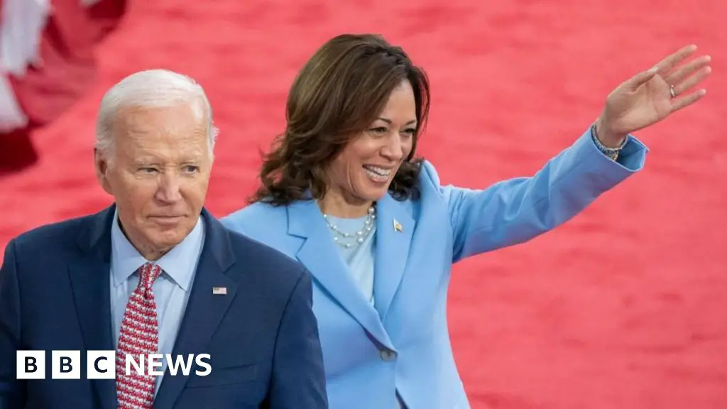 Biden has endorsed Harris. What happens next?